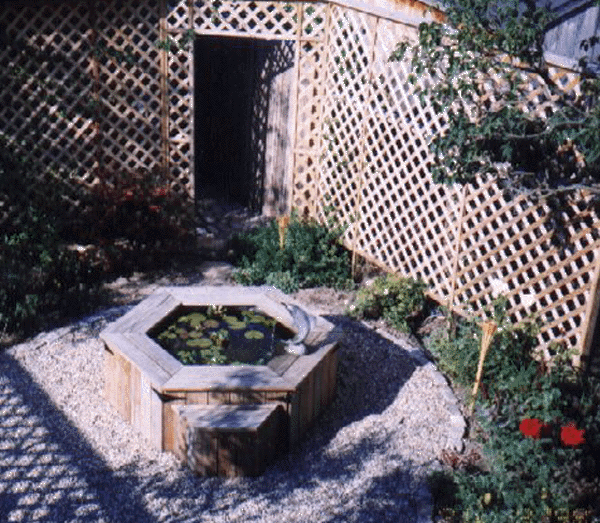 The Garden in 1999